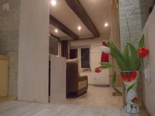 Апартаменты Lviv Amazing Rooftop Apartment Львов Апартаменты с 1 спальней-37