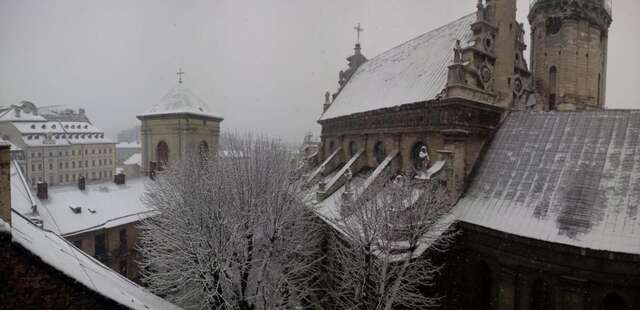 Апартаменты Lviv Amazing Rooftop Apartment Львов-29